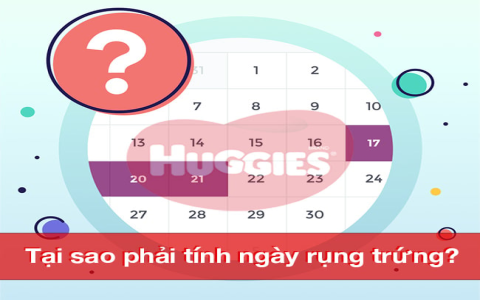 Hướng dẫn chi tiết cách tính tỷ lệ thịt xẻ nhanh chóng