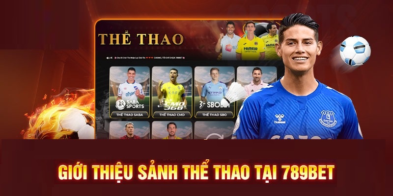 Cá cược thể thao Việt Nam： Khám phá cơ hội thắng lớn với nhiều môn hấp dẫn