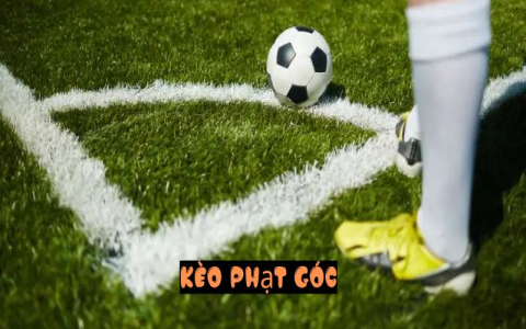 Mẹo đọc các kèo cá độ bóng đá để tối ưu hóa cơ hội thắng
