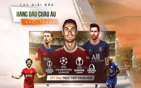 Những nhà cái uy tín nhất để cược bóng đá trực tuyến