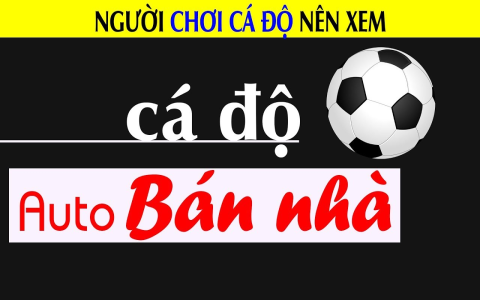 Cách tính tỷ lệ cá cược bóng đá chính xác và dễ hiểu