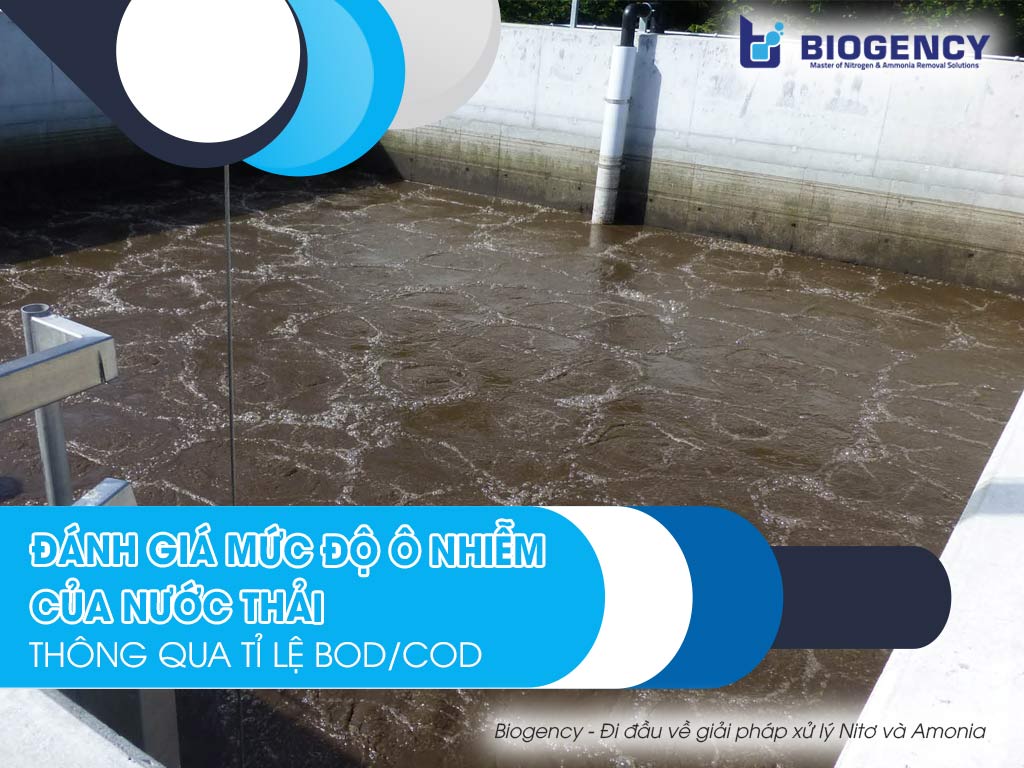 Tỷ lệ BODCOD trong nước thải sinh hoạt： Cách đánh giá ô nhiễm hiệu quả