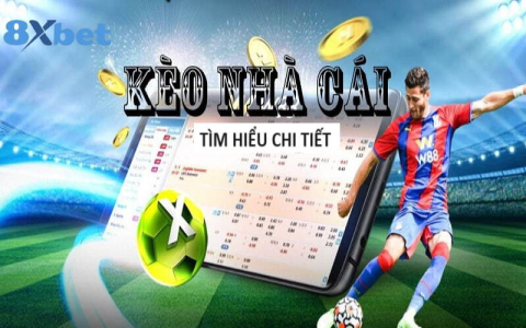Cách chơi cá cược trực tuyến an toàn và hiệu quả