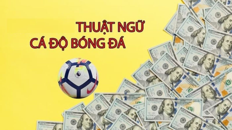 Hướng dẫn chi tiết các thuật ngữ trong cá cược bóng đá dành cho bet thủ