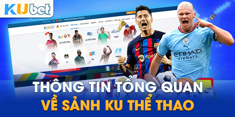 Hướng dẫn c cược thể thao châu Á： Cơ hội thắng lớn cho người chơi