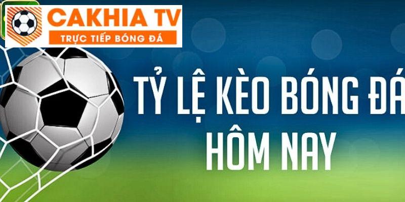 Tỷ lệ châu Á trực tuyến： Xem kèo bóng đá hôm nay và phân tích chuyên sâu