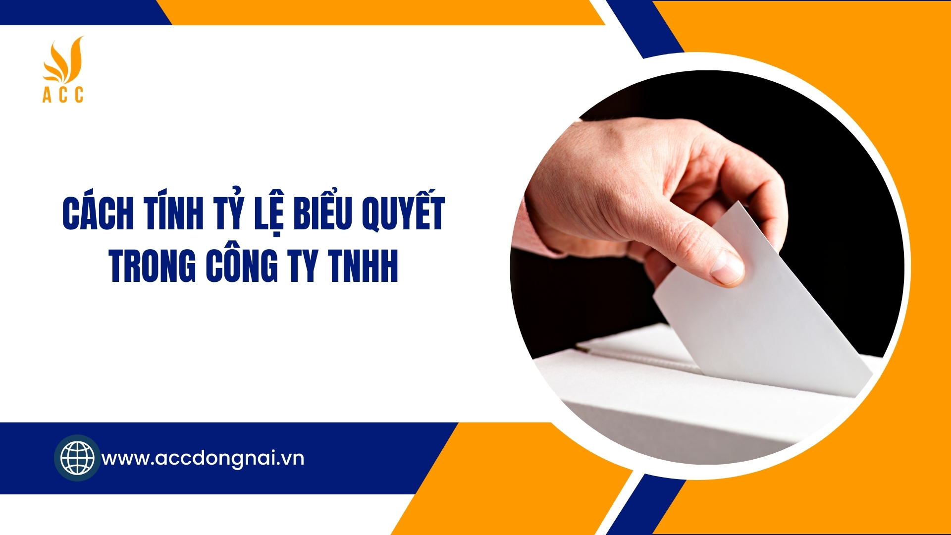 Tỷ lệ biểu quyết trong công ty TNHH： Phương pháp tính chính xác nhất