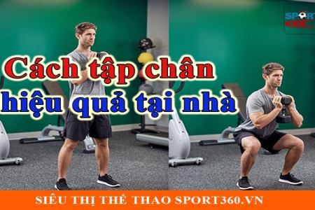 Đồ Tập Tạ Tại Nhà Hiệu Quả Cho Người Mới Bắt Đầu