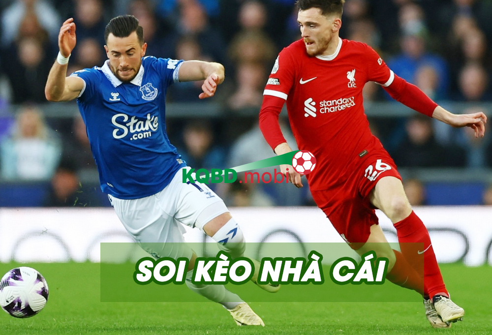 Dự Đoán Tỷ Lệ Cá Cược Hôm Nay và Ngày Mai Tốt Nhất