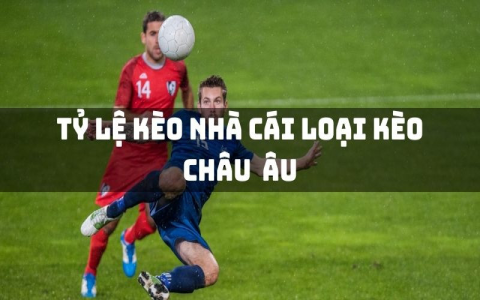 Tìm hiểu tỷ lệ nhà cái bóng đá – Cập nhật kèo cược nhanh nhất
