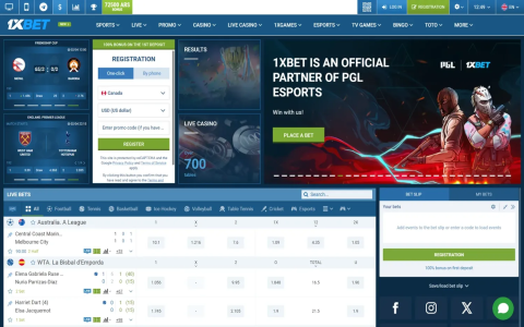 Khám phá các trang cá cược online an toàn và uy tín
