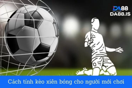 Kéo nhà cái hôm nay: Bí kíp soi kèo từ các chuyên gia hàng đầu!
